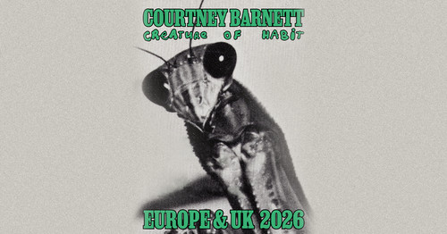 Courtney barnett live - courtney, barnett,