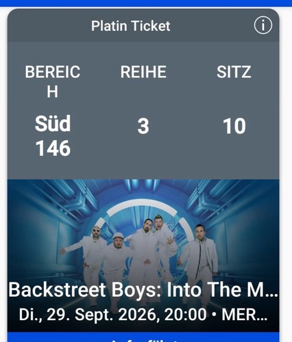 Backstreet boys into the - boys,